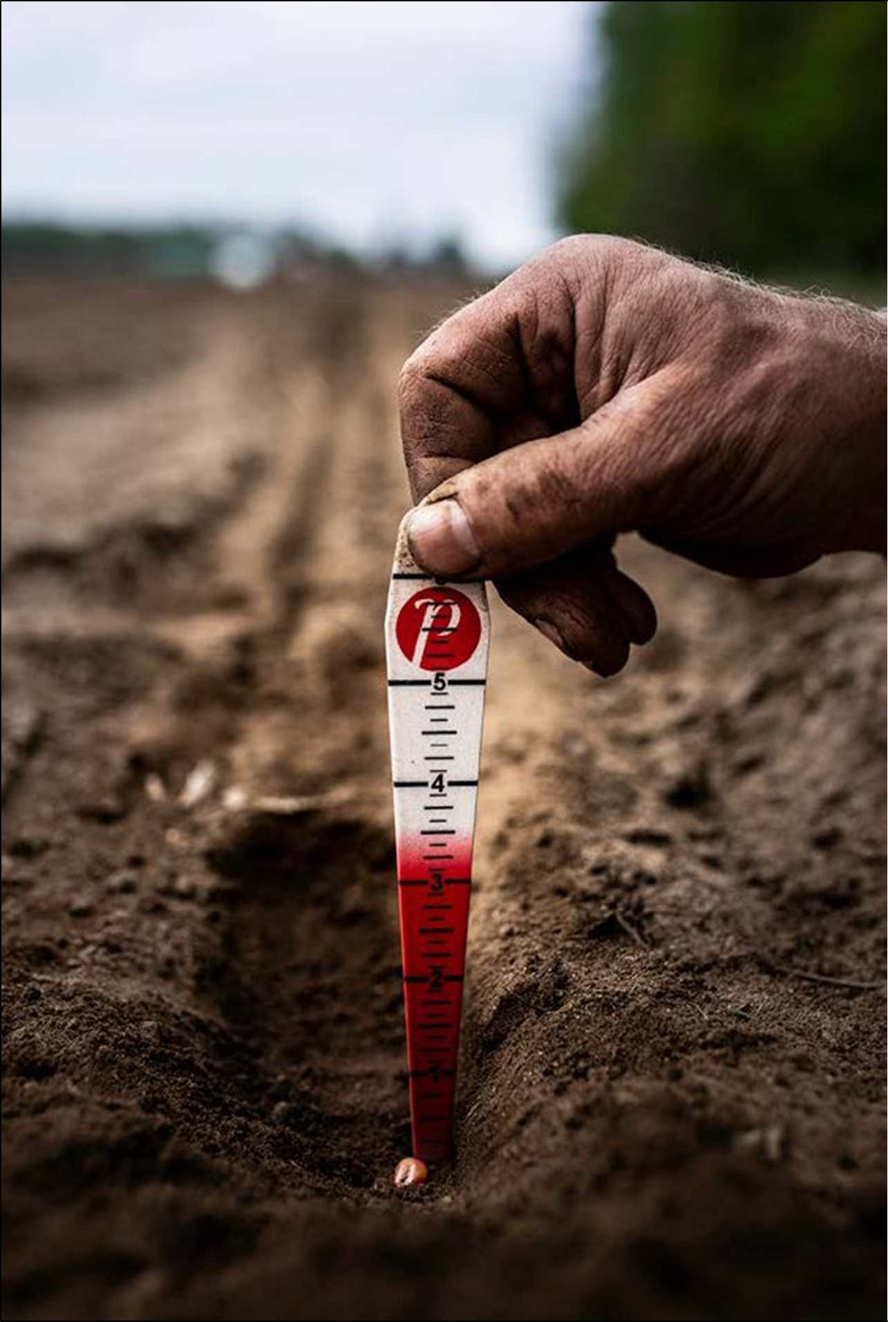Seed depth finder