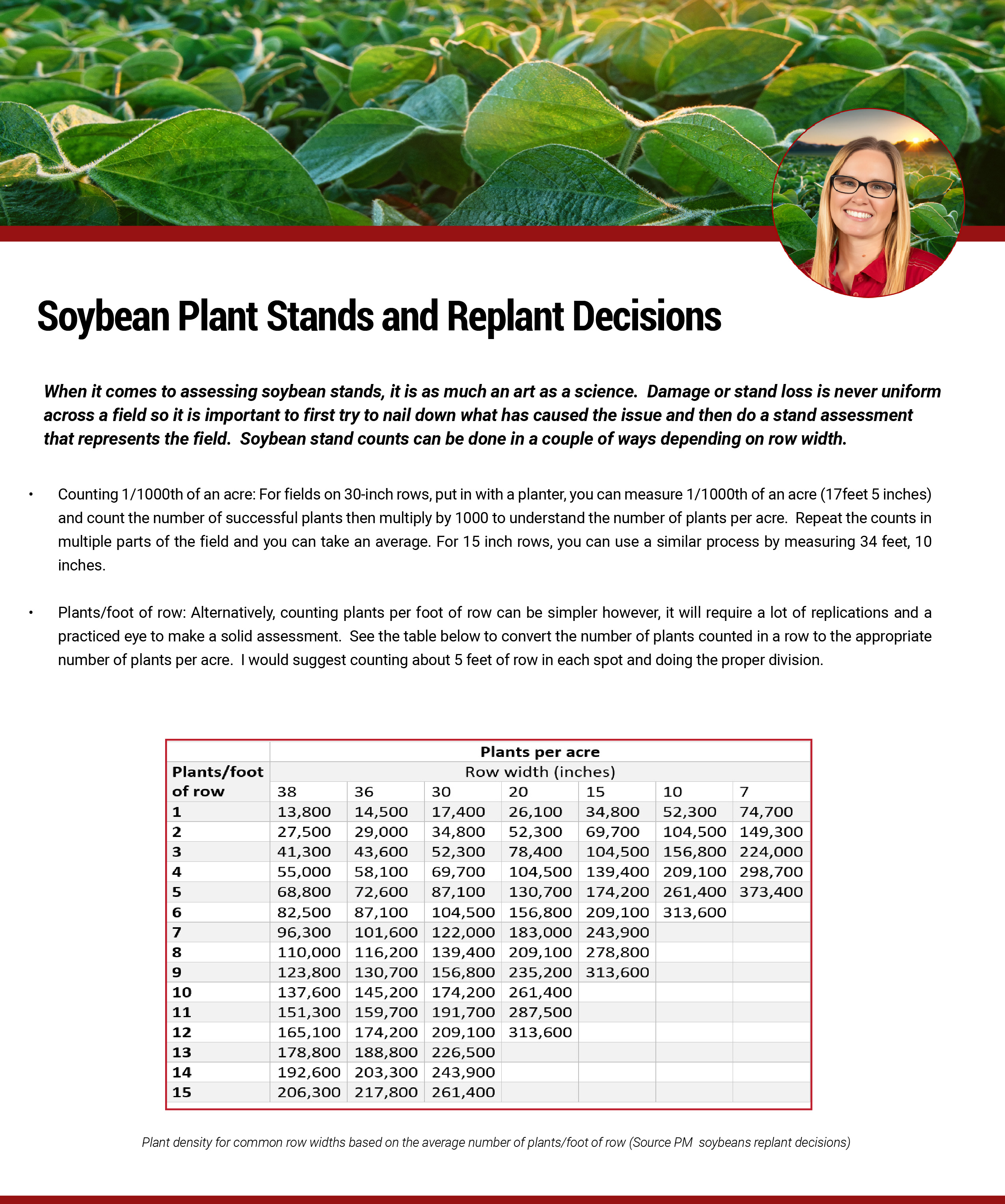 Soybean Plant Stands and replant decisions_ Article-01