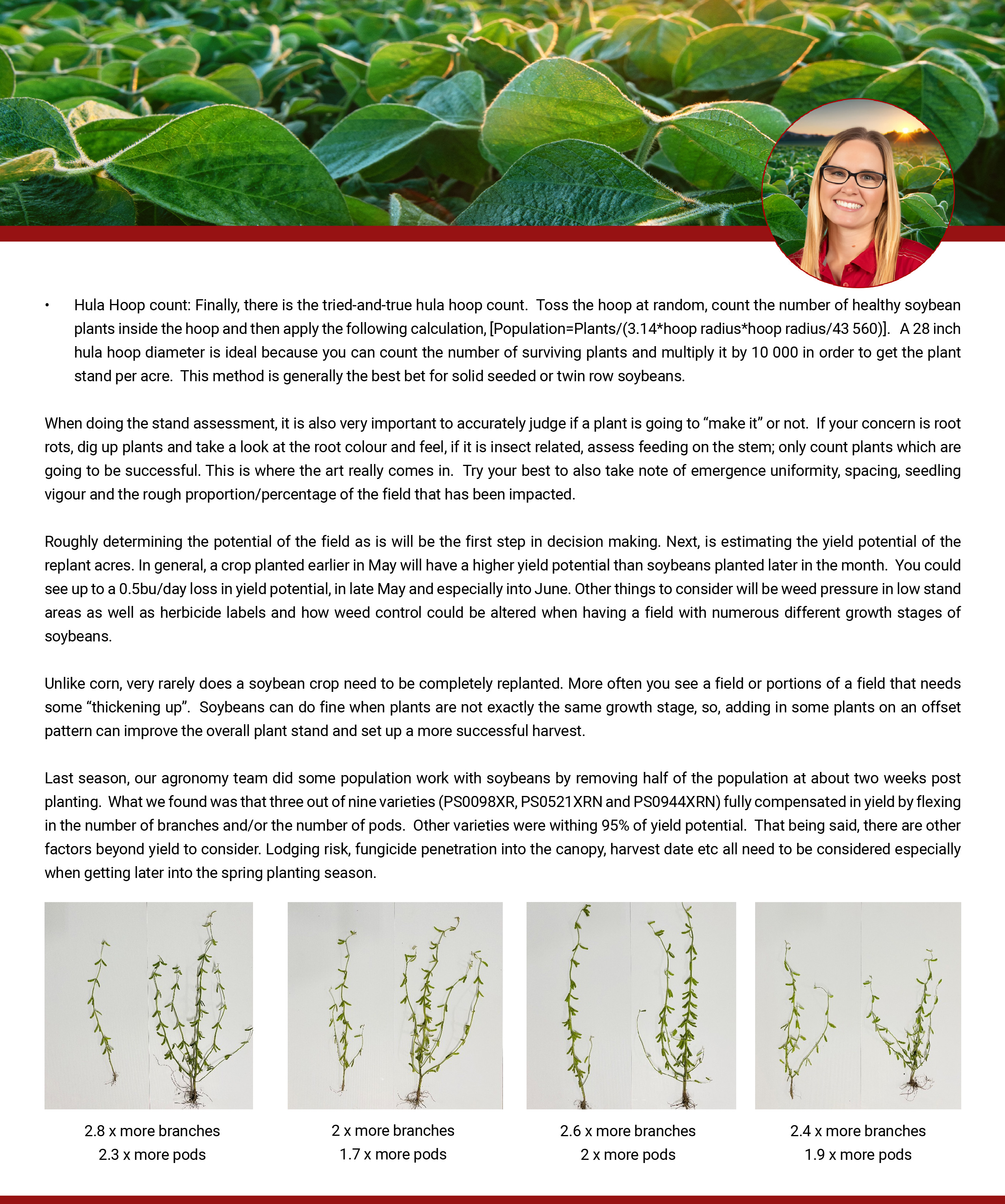 Soybean Plant Stands and replant decisions_ Article-02