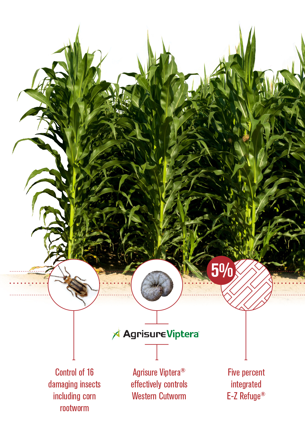 Agrisure Viptera